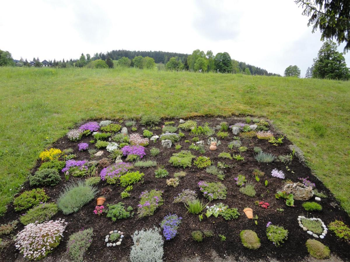 Farm stay Maierlhof