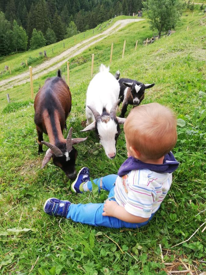 Farm stay Maierlhof *